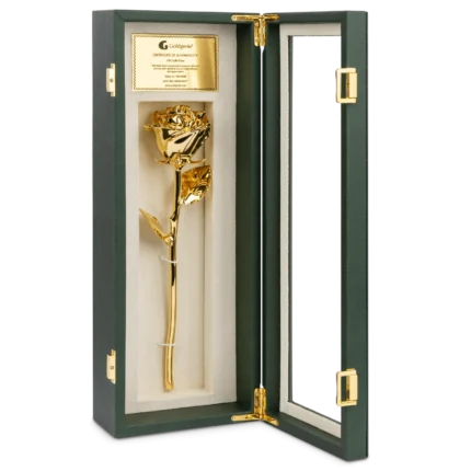 24k Gold Roses