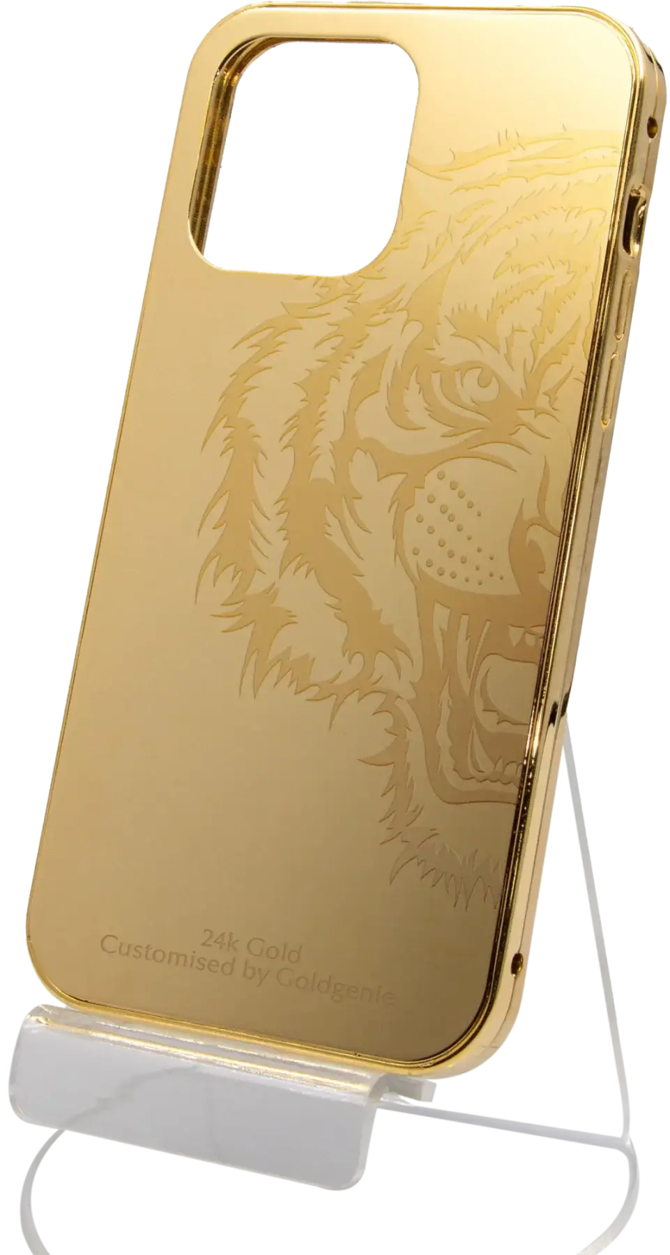 Golden Roar Protection Case